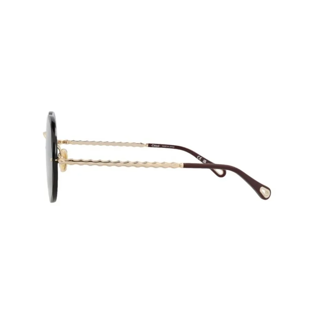 Chloé Round-Frame Metal Sunglasses Gold Womens